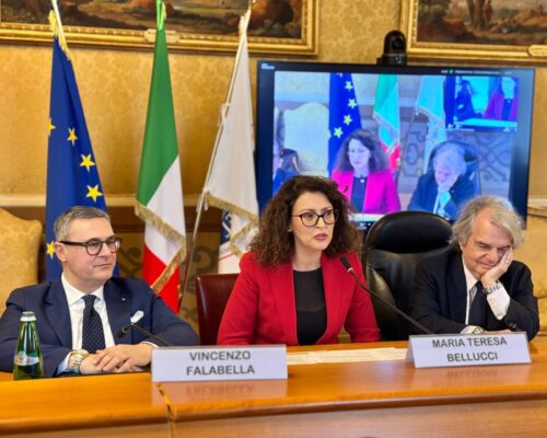Disabilità, Disability Card strumento concreto per costruire società più inclusiva